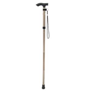 Mobility aids - Canes