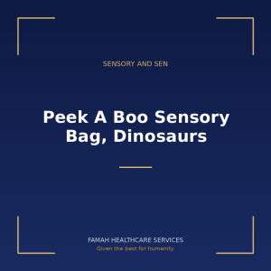 Peek A Boo Sensory Bag, Dinosaurs from Famah Healthcare Services